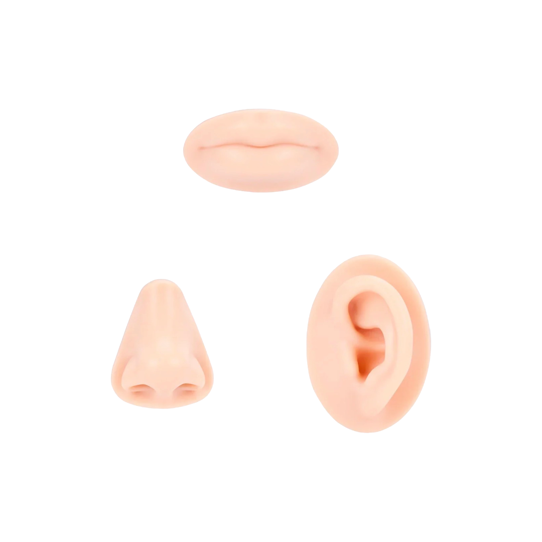 APOF Piercing Body Parts